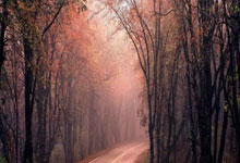 江南体育官网：【星光背后】把打球变成艺术，篮球在他手中有了生命.