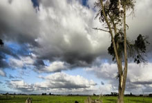 [棋牌]13岁少女的围棋成长记：当黑白棋子遇见满分试卷.