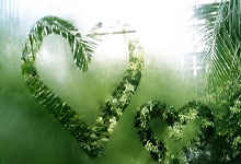 瓦塞尔：胜利当然是我们的目标 即使缺兵少将我们也能跟对手抗衡.