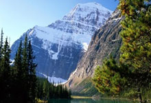 [图]库里伤退巴特勒三双送关键封盖 勇士险胜猛龙.